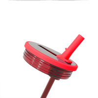 Fruit Punch